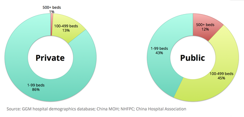 China hospitals by ownership and bed size (c) Global Growth Markets