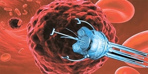 Korean researchers develop worlds first cancer removal nano robot (c) Business Korea