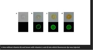 Korea develops contact lens that can treat glaucoma (c) Business Korea